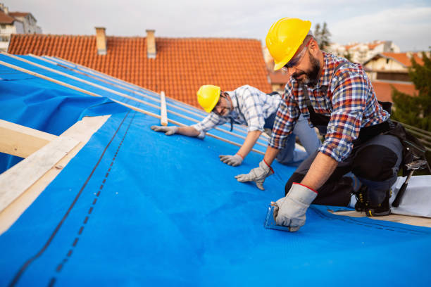 Roof Gutter Cleaning in Grantville, GA