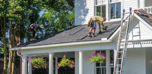 Roof Gutter Cleaning in Grantville, GA